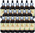 Vana Holy Basil (Ocimum sp.) Tincture, Organic Dried Leaves Liquid Extract (Brand Name: HerbalTerra, Proudly Made in USA) 20x4 fl.oz (20x120 ml)