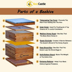 10-Frames Complete Beehive Kit, Beeswax Coated Bee Hive Includes Frames and Beeswax Coated Foundation Sheet (2 Layer)