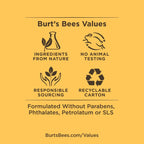 Burt's Bees Lip Balm, Moisturizing Lip Care, for All Day Hydration, 100% Natural, Mango (2 Pack)
