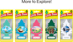 LITTLE TREES Air Fresheners Car Air Freshener. Hanging Tree Provides Long Lasting Scent for Auto or Home. Rainforest Mist, 24 Air Fresheners