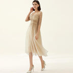 square collar mesh dots dress