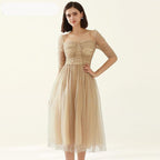 square collar mesh dots dress