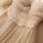 square collar mesh dots dress