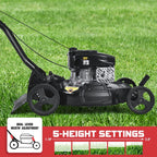 PowerSmart Gas Lawn Mower, 21-inch & 170CC, Gas Powered Push Lawn Mower with 4-Stroke Engine, 2-in-1 Mulching Lawn Mower, 5 Adjustable Cutting Heights (1.18''-3.00'' )