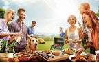 Portable Outdoor Bbq Grill Patio Camping Picnic Barbecue Stove Suitable For 3-5