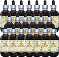 Bai Mao Gen (Imperata Cylindrica) Tincture, Dried Roots Liquid Extract (Brand Name: HerbalTerra, Proudly Made in USA) 20x4 fl.oz (20x120 ml)