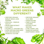 MacroLife Naturals Macro Greens 5ct Survival Bundle - 38 Superfood Powder, Antioxidant-Herbal Blend, Non-GMO Vegan, Immune - 4 x 30oz (360 Servings) + 12 Packet Travel Box