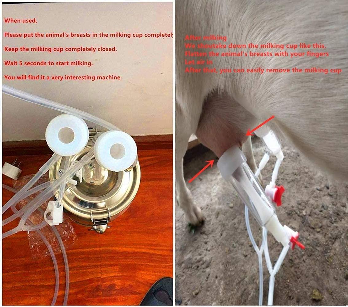 Futt Single Bucket Piston Vacuum Ultra-Strong Frequency Pulsation MilMachine for Cows Cattle or Sheep Optional (14L, Cow)