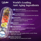 3X CellLabs Premium Sheep Placenta Stem Cell Opal GS 15,000mg with Astaxanthin, Lycopene, Olive Fruit, Grape Seed Oil for Visible Anti-Aging, Improve fine Lines, Reduce Wrinkle 6 Months Supply