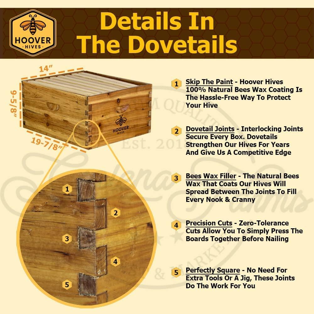 Hoover Hives 8 Frame Langstroth Beehive Dipped in Beeswax Includes Wooden Frames & Waxed Foundations (2 Deep Boxes, 1 Medium Box)(Fully Assembled)