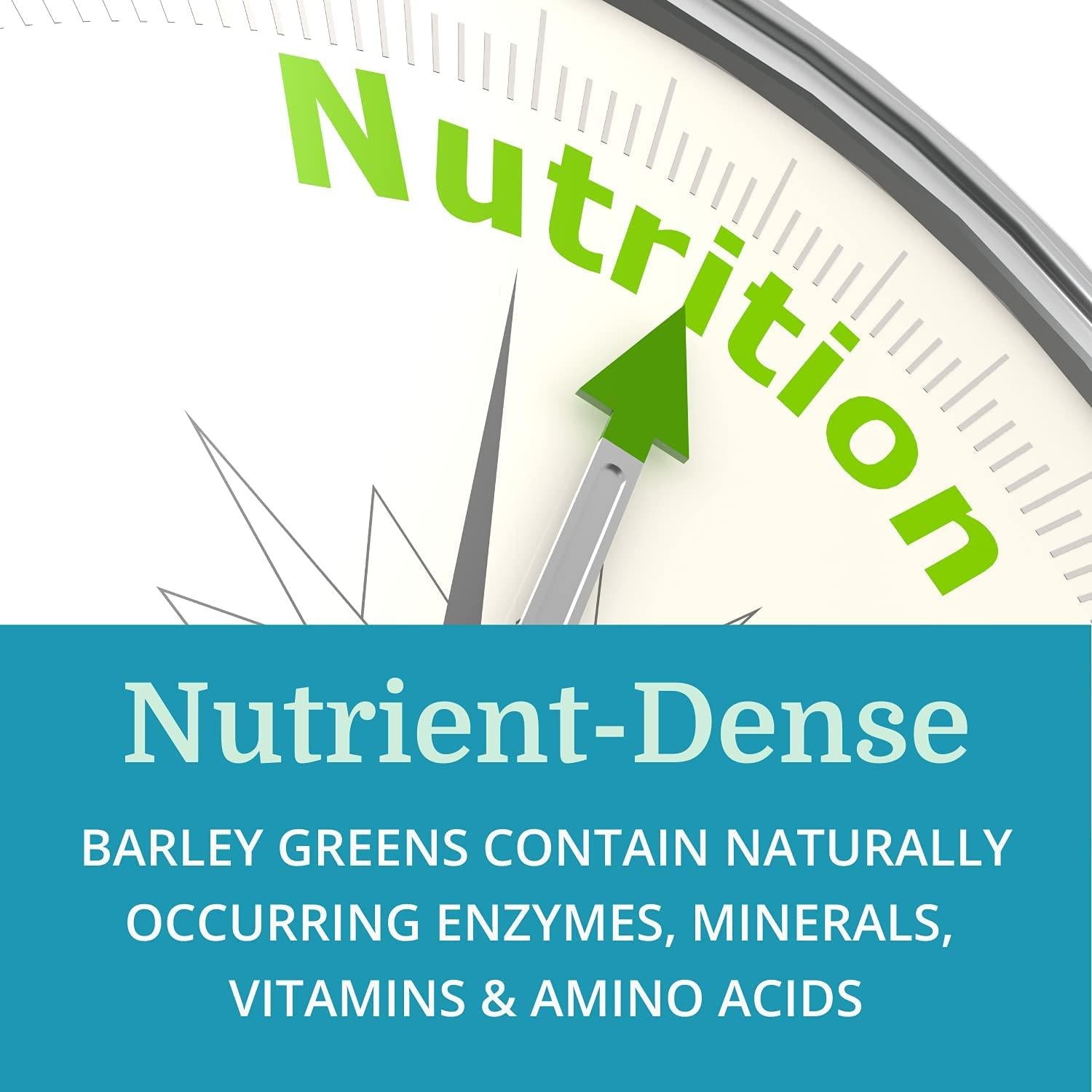 Alka•Green Tablets (12 Pack) Morter HealthSystem Best Process Alkaline — Nutrient Dense Organic Barley Grass Supplement — Natural Source of Enzymes & Amino Acids