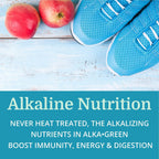 Alka•Green Tablets (12 Pack) Morter HealthSystem Best Process Alkaline — Nutrient Dense Organic Barley Grass Supplement — Natural Source of Enzymes & Amino Acids