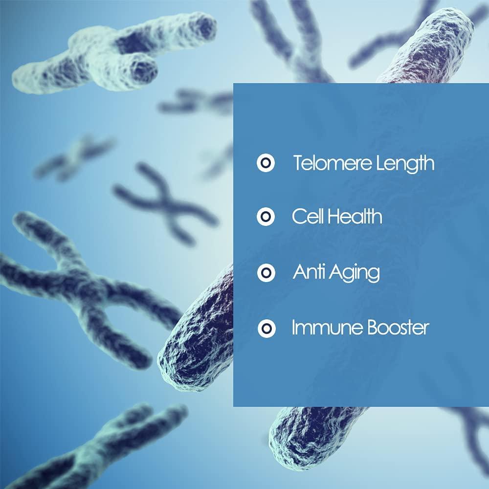 CAW Telomere Support Supplement | Hypersorption Cycloastragenol | 10Mg 30Enteric-Coated Capsules 6bottles