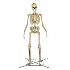 Home Accents 12 Ft. Giant-Sized Skeleton With LifeEyes