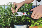 ZWILLING J.A. Henckels TWIN L Kitchen Shears