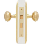 Egg and Dart Plate Interior Mortise Egg and Dart Door Knob in Polished Brass