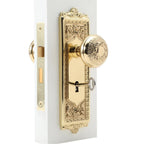 Egg and Dart Plate Interior Mortise Egg and Dart Door Knob in Polished Brass