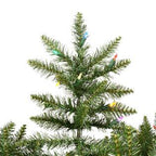 Vickerman 9.5' x 66" Camdon Fir 1350 Multi LED - A860987LED
