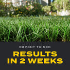 Scotts Turf Builder Triple Action - Combination Weed Control, Weed Preventer, and Fertilizer, 50 lbs., 10,000 sq. ft.
