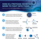 Tollovid ™ Maximum Protection Natural Dietary Supplement for Immune Support