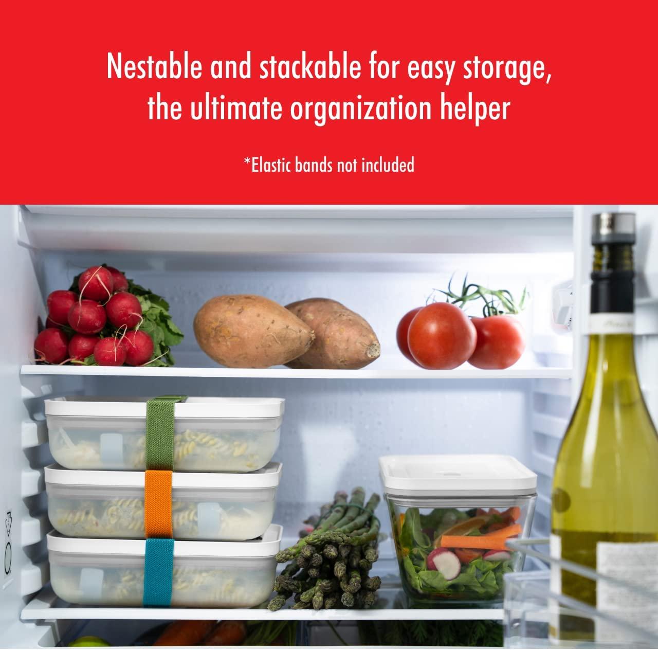 ZWILLING Fresh & Save Flat Lunch Box Large, Airtight Food Storage Container, Meal Prep Container, BPA-Free, Semi-transparent