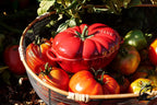 STAUB Ceramics Petite Tomato Cocotte, 16-oz, Cherry