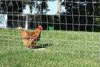Starkline Electric Poultry Netting Kit - AC Energizer (48" x164' White/Blue Poultry Netting) (12/48/3) All-in-One Electric Fence Kit for Backyards, Homesteads, Ranches or Farms