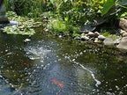 The Pond Guy Pond Aerator - Pond Aerator 1 for Ponds 1000-4000 Gallons
