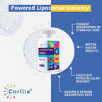 Liposomal NAD+ 500mg with TMG 250mg Softgels, Nicotinamide Riboside & NMN Alternative to Boost NAD+ Levels, Actual NAD+ Supplement for Energy, Metabolism and Longevity (10 Bottles-600 Softgels)