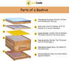 10-Frame Bee Hives and Supplies Starter Kit,Beehive Kit Dipped in Beeswax,Bee Keeping Supplies-All Beginners Kit Includes Beekeeping Supplies Tool Set and Bee Suit.