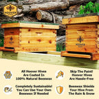 Hoover Hives 8 Frame Langstroth Beehive Dipped in Beeswax Includes Wooden Frames & Waxed Foundations (2 Deep Boxes, 1 Medium Box)(Fully Assembled)