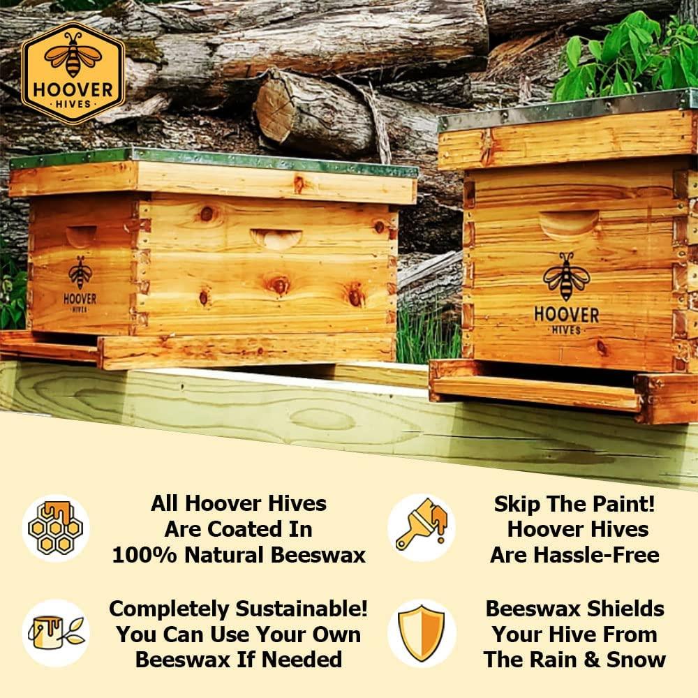 Hoover Hives 10 Frame Langstroth Beehive Dipped in Beeswax Includes Wooden Frames & Waxed Foundations (2 Deep Boxes, 1 Medium Box)(Fully Assembled)
