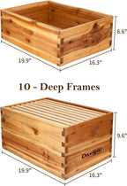 Bee Hive Complete Beehive Kit, Daxiga 10 Frame Beeswax Coated Bee Hive Includes Frames and Beeswax Coated Foundation Sheet (2 Layer)