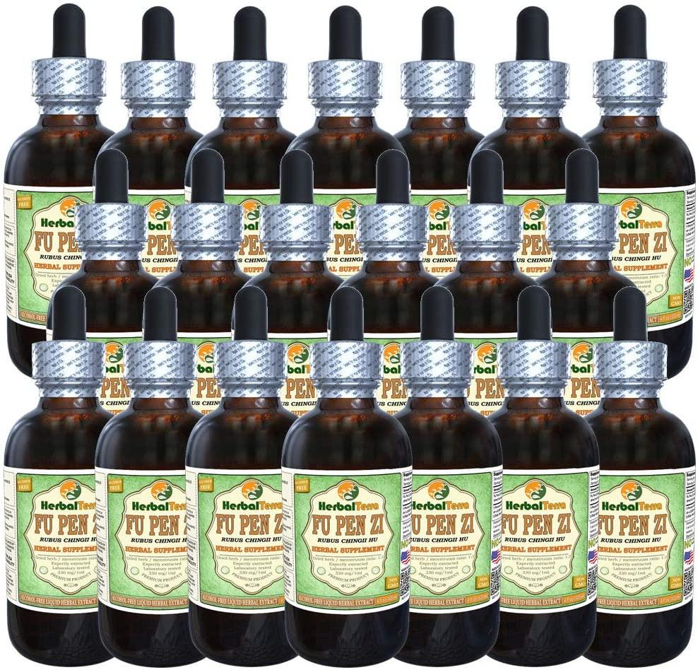 Fu Pen Zi, Chinese Raspberry (Rubus Chingii Hu) Glycerite, Organic Dried Fruit Alcohol-Free Liquid Extract (Brand Name: HerbalTerra, Proudly Made in USA) 20x4 fl.oz (20x120 ml)