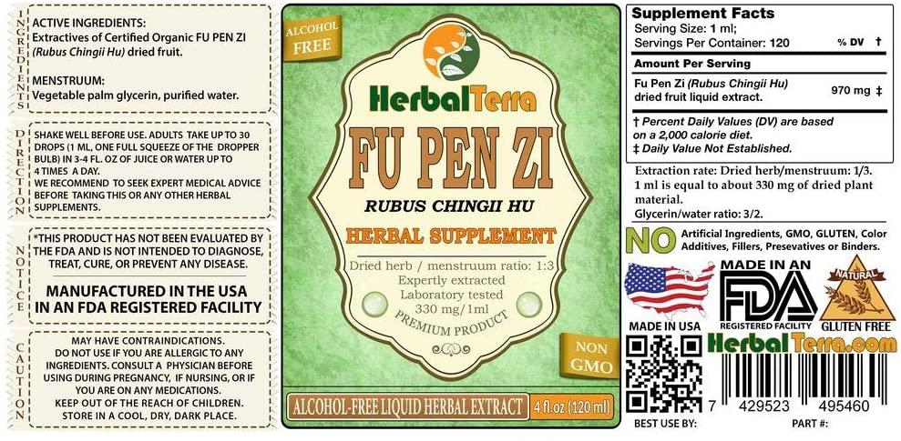 Fu Pen Zi, Chinese Raspberry (Rubus Chingii Hu) Glycerite, Organic Dried Fruit Alcohol-Free Liquid Extract (Brand Name: HerbalTerra, Proudly Made in USA) 20x4 fl.oz (20x120 ml)