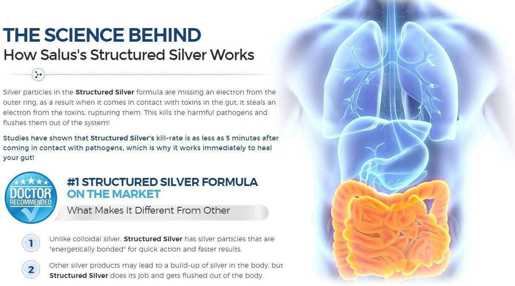 Salus Defense Structured Silver Liquid — Alkaline Water with 15ppm Structured Silver — All Natural and Safe with No Additives — 16 Ounce Bottle (6 Pack)