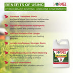 Hormex Vitamin B1 Rooting Hormone Concentrate | Prevents Transplant Shock | Accelerates Growth | Stimulates Roots | for All Plant Varieties and Grow Mediums Including Hydroponics (128 oz)