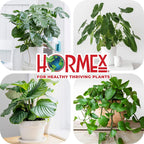 Hormex Vitamin B1 Rooting Hormone Concentrate | Prevents Transplant Shock | Accelerates Growth | Stimulates Roots | for All Plant Varieties and Grow Mediums Including Hydroponics (128 oz)