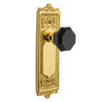 Egg &amp; Dart Plate 2-3/4 in. Backset Unlaquered Brass PassaHall/Closet Waldorf Black Door Knob