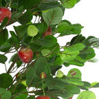 Northlight 6.5' Potted Two Tone Apple Artificial Christmas Tree - Unlit