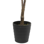 Northlight 6.5' Potted Two Tone Apple Artificial Christmas Tree - Unlit