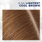 Clairol Root Touch-Up by Nice'n Easy Permanent Hair Dye, 6.5A Lightest Cool Brown Hair Color, Pack of 2