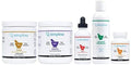 Neuro-Health Protocol "Plus" Bundle #2 – Natural Supplement Program for Improved Neurological Response, Increased Energy & Reduced Muscle Fatigue. Made in USA, Non-GMO