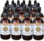 Acerola Liquid Extract, Organic Acerola (Malpighia Glabra) Dried Berry Powder Tincture Supplement 15x4 oz