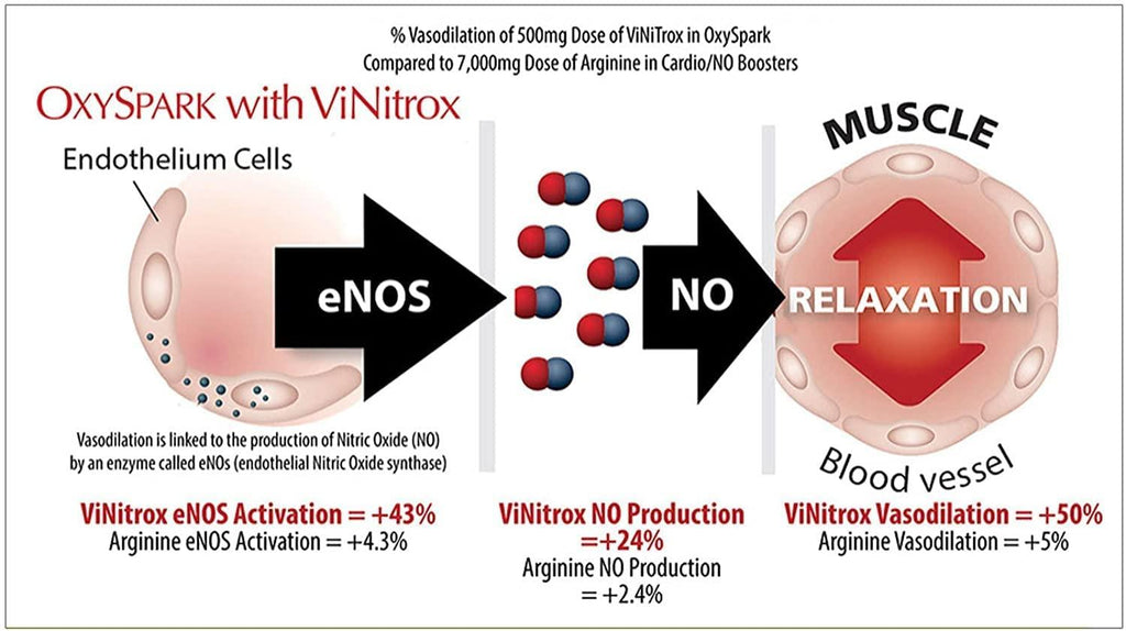 OxySpark, Nitric Oxide Booster Supplement, Award-Winning Ingredients, Clinically Proven Ingredients, Designed for Healthy Aging, Increased Blood Flow, Cell Repair, and Energy, with Beet Root 5 Pack