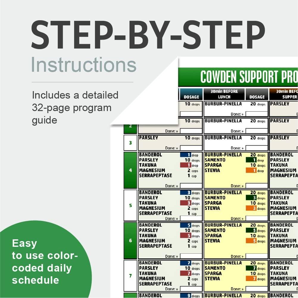 NutraMedix Cowden Support Program Month 1 - Detox Tincture Protocol - Includes Banderol, Burbur-Pinella, Samento Cat's Claw & More - Bioavailable Herbal Detox - Immune System Support (12 Piece Set)
