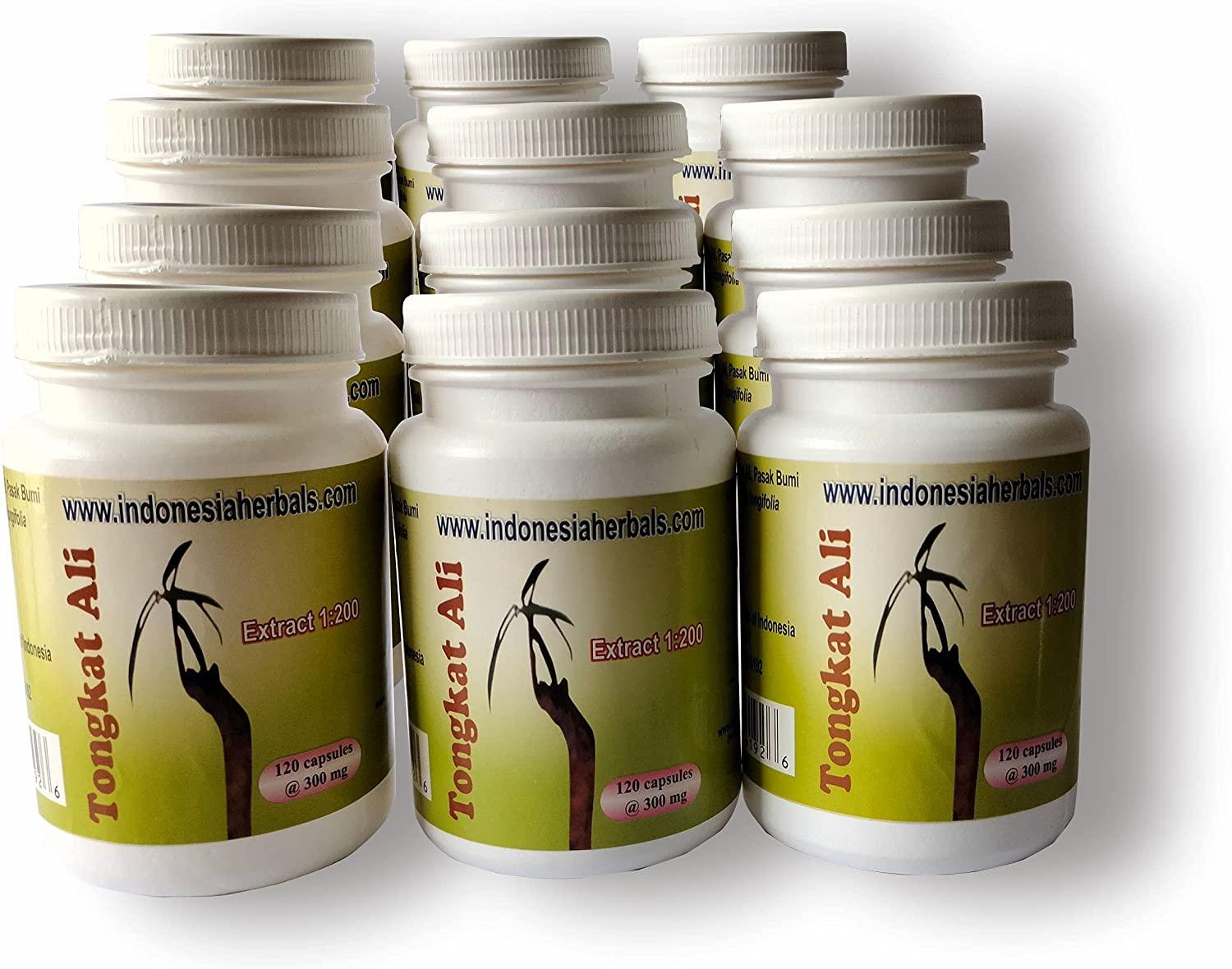 Tongkat Ali / Eurycoma Longifolia Jack 1:200 300mg (12 Bottle 1440 Capsules)