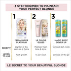 L’Oréal Paris Le Color Gloss One Step In-Shower Toning Hair Gloss, Neutralizes Brass, Conditions &amp; Boosts Shine, Silver, 4 Ounce
