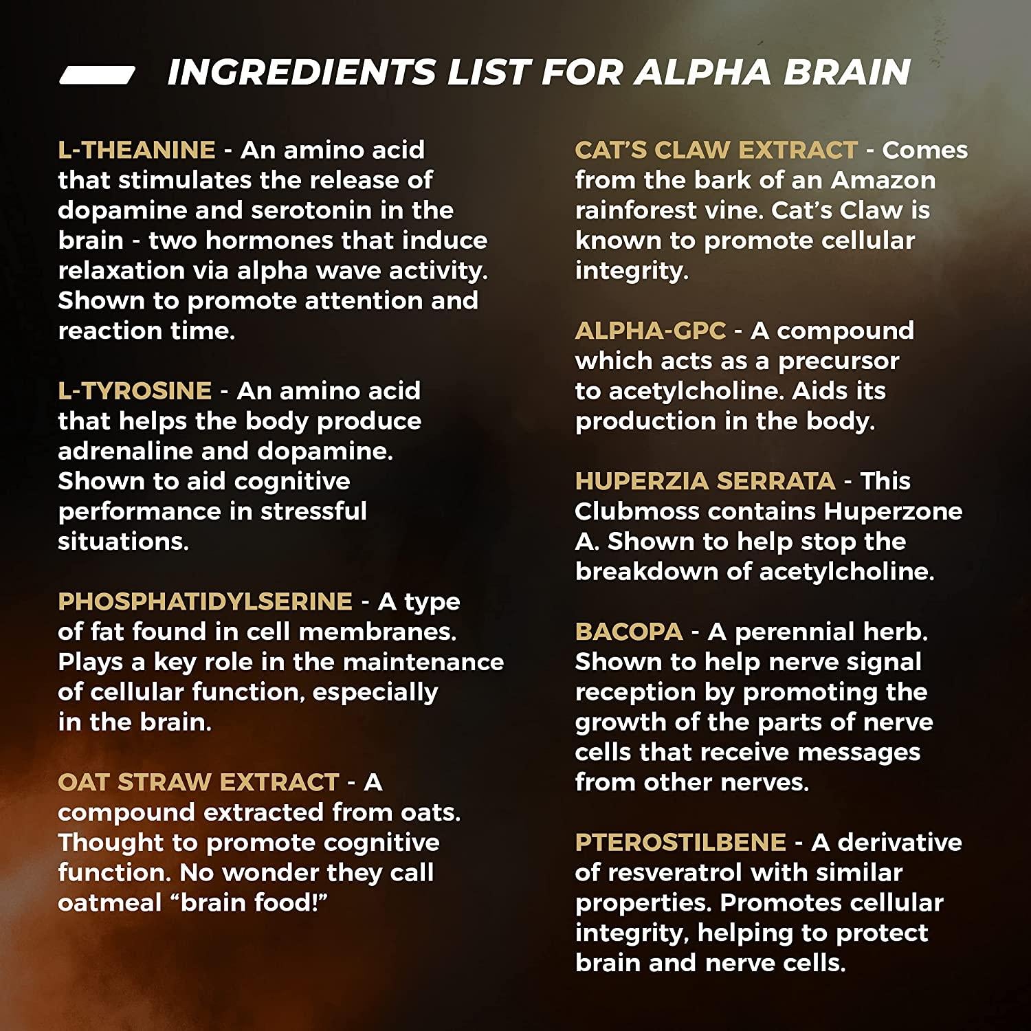 ONNIT Alpha Brain (270ct) - Premium Nootropic Brain Supplement - Focus, Concentration & Memory - Alpha GPC, L Theanine & Bacopa Monnieri