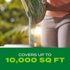Scotts Turf Builder Rapid Grass Bermudagrass - Combination Seed and Fertilizer, 8 lbs., Covers Up to 10,000 sq. ft.